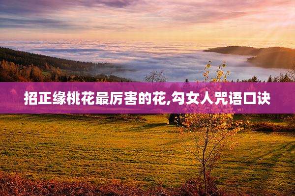招正缘桃花最厉害的花,勾女人咒语口诀