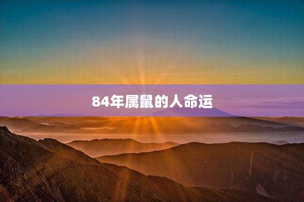 84年属鼠的人命运