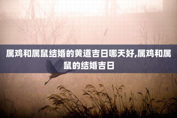 属鸡和属鼠结婚的黄道吉日哪天好,属鸡和属鼠的结婚吉日