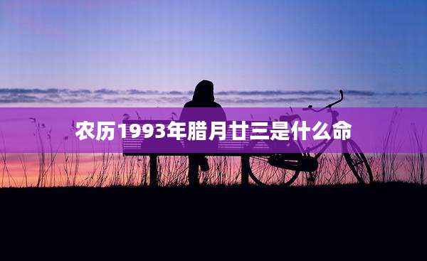 农历1993年腊月廿三是什么命