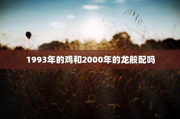 1993年的鸡和2000年的龙般配吗