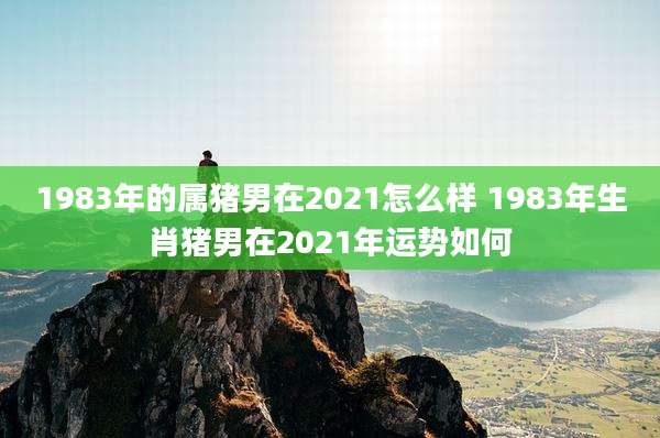 1983年的属猪男在2021怎么样 1983年生肖猪男在2021年运势如何