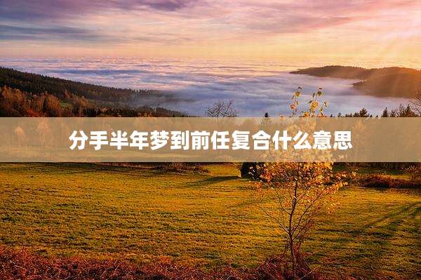 分手半年梦到前任复合什么意思