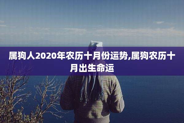 属狗人2020年农历十月份运势,属狗农历十月出生命运
