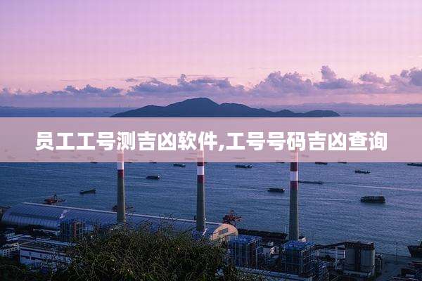 员工工号测吉凶软件,工号号码吉凶查询