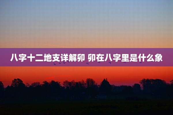 八字十二地支详解卯 卯在八字里是什么象