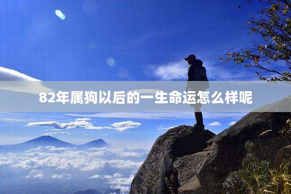 82年属狗以后的一生命运怎么样呢
