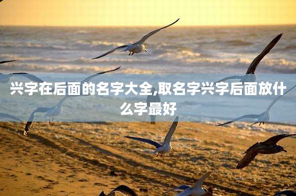 兴字在后面的名字大全,取名字兴字后面放什么字最好
