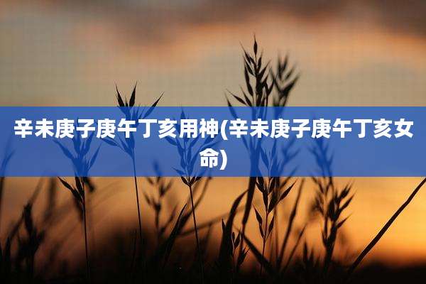 辛未庚子庚午丁亥用神(辛未庚子庚午丁亥女命)