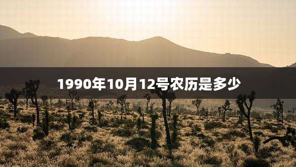 1990年10月12号农历是多少