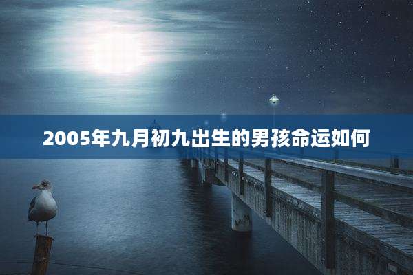 2005年九月初九出生的男孩命运如何