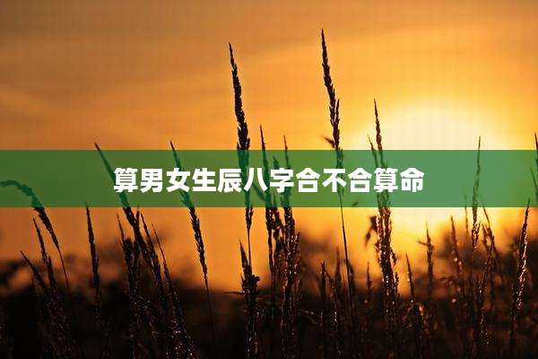 算男女生辰八字合不合算命