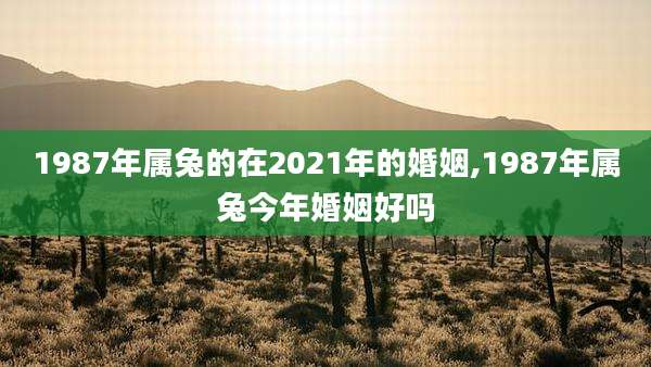 1987年属兔的在2021年的婚姻,1987年属兔今年婚姻好吗