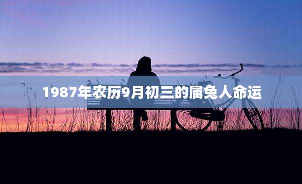1987年农历9月初三的属兔人命运