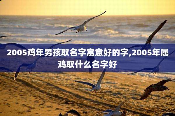 2005鸡年男孩取名字寓意好的字,2005年属鸡取什么名字好