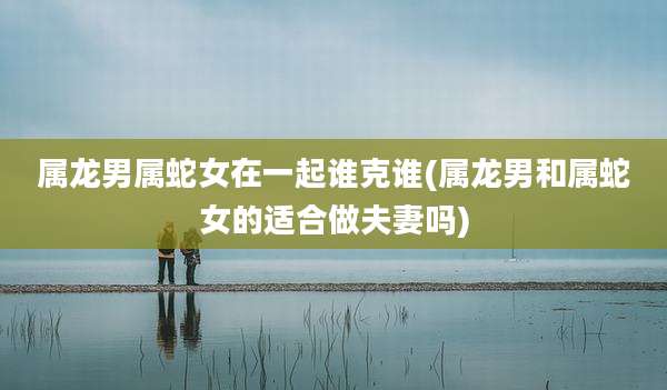 属龙男属蛇女在一起谁克谁(属龙男和属蛇女的适合做夫妻吗)