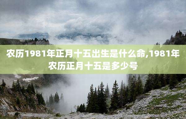 农历1981年正月十五出生是什么命,1981年农历正月十五是多少号