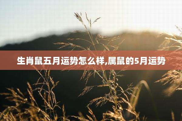 生肖鼠五月运势怎么样,属鼠的5月运势