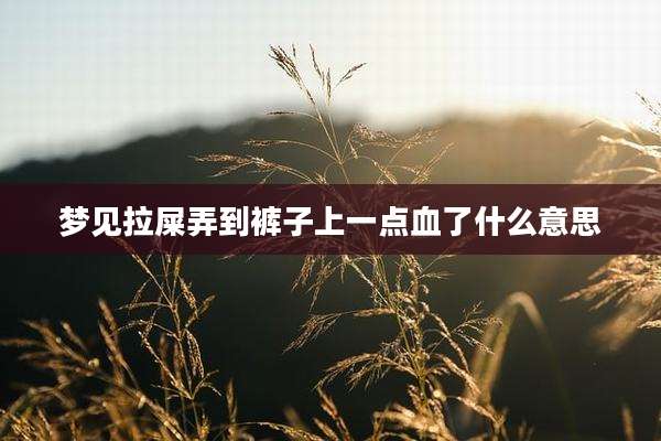 梦见拉屎弄到裤子上一点血了什么意思