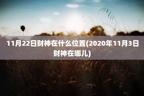 11月22日财神在什么位置(2020年11月3日财神在哪儿)