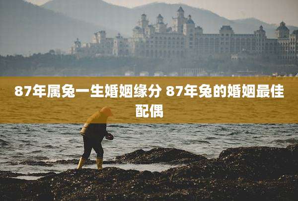 87年属兔一生婚姻缘分 87年兔的婚姻最佳配偶