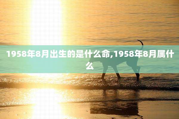 1958年8月出生的是什么命,1958年8月属什么