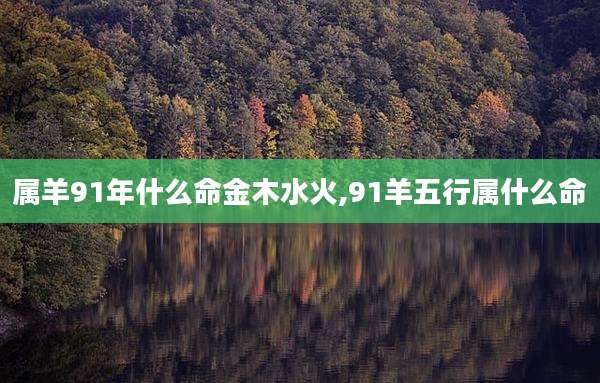 属羊91年什么命金木水火,91羊五行属什么命