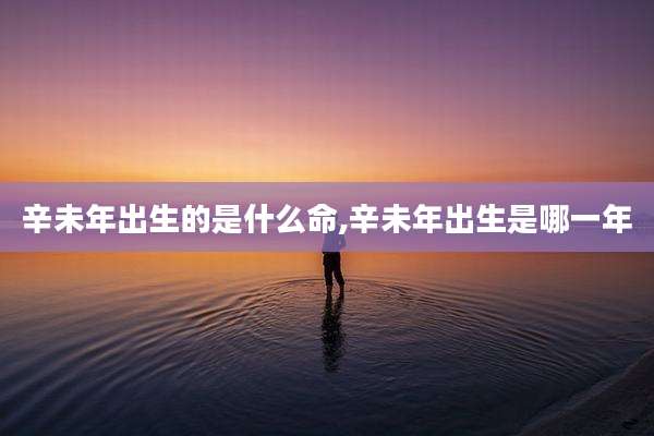 辛未年出生的是什么命,辛未年出生是哪一年