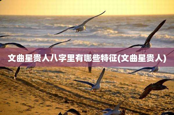 文曲星贵人八字里有哪些特征(文曲星贵人)