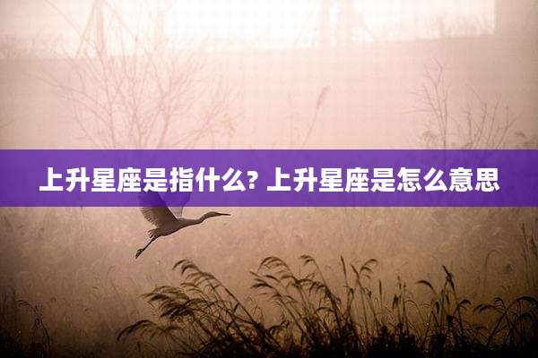 上升星座是指什么? 上升星座是怎么意思