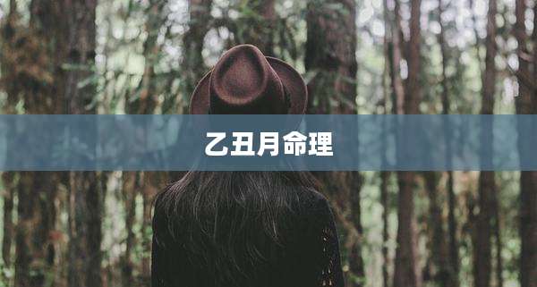 乙丑月命理
