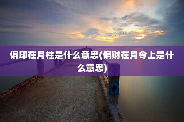 偏印在月柱是什么意思(偏财在月令上是什么意思)
