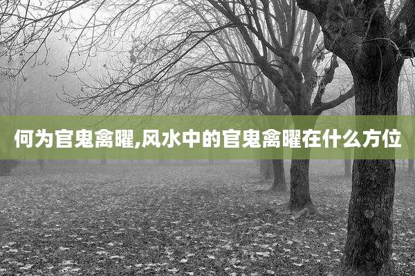 何为官鬼禽曜,风水中的官鬼禽曜在什么方位