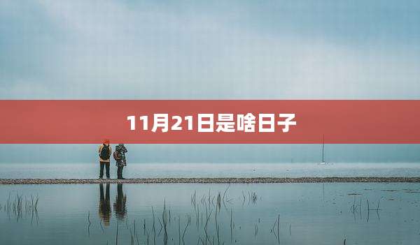 11月21日是啥日子