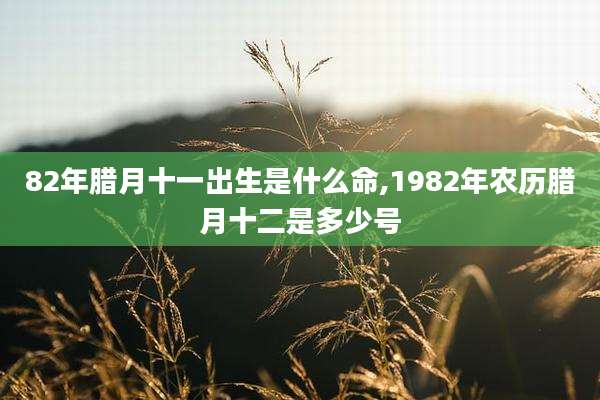82年腊月十一出生是什么命,1982年农历腊月十二是多少号