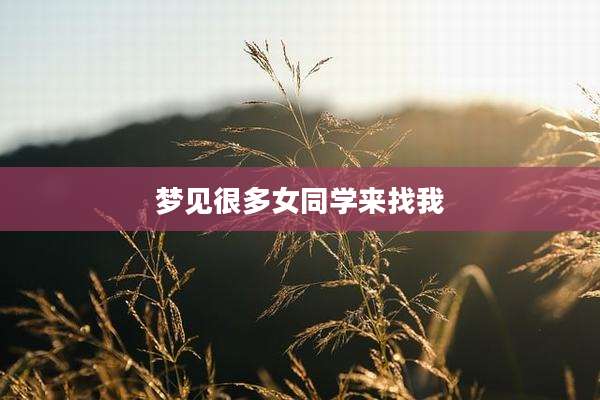 梦见很多女同学来找我