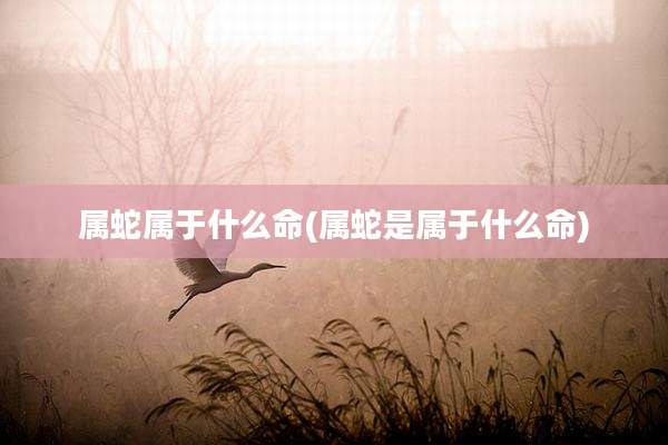 属蛇属于什么命(属蛇是属于什么命)
