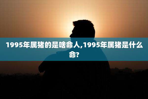 1995年属猪的是啥命人,1995年属猪是什么命?