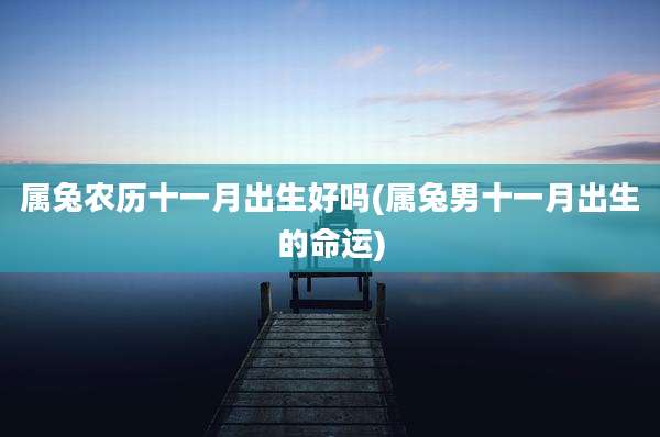 属兔农历十一月出生好吗(属兔男十一月出生的命运)