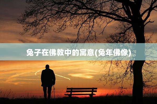 兔子在佛教中的寓意(兔年佛像)