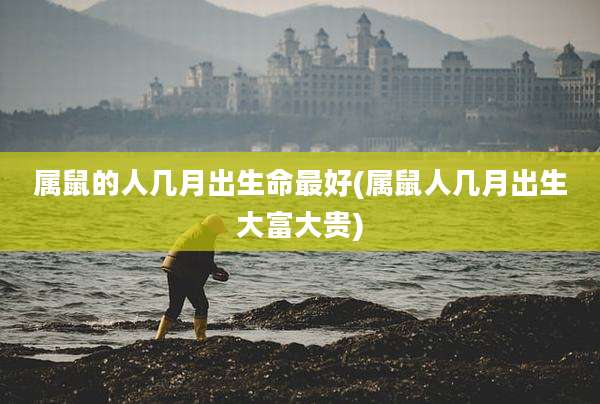 属鼠的人几月出生命最好(属鼠人几月出生大富大贵)