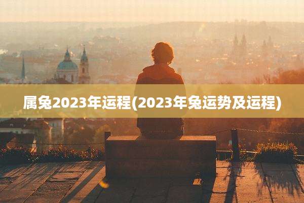 属兔2023年运程(2023年兔运势及运程)