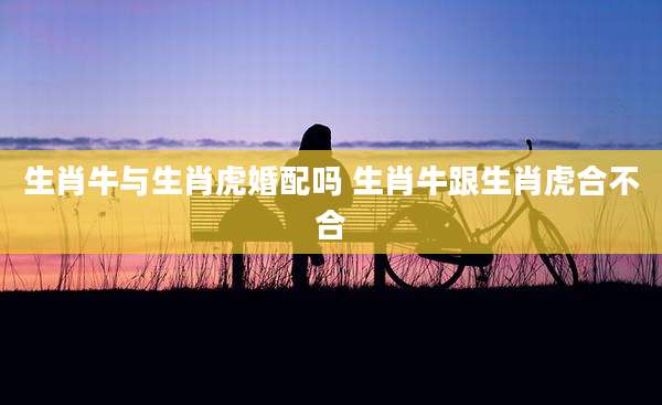 生肖牛与生肖虎婚配吗 生肖牛跟生肖虎合不合