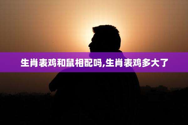 生肖表鸡和鼠相配吗,生肖表鸡多大了