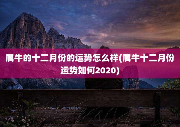 属牛的十二月份的运势怎么样(属牛十二月份运势如何2020)
