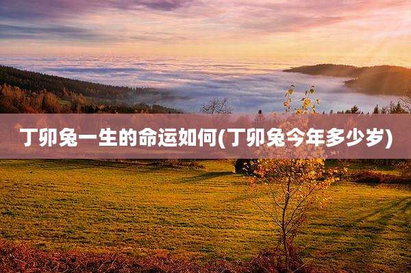 丁卯兔一生的命运如何(丁卯兔今年多少岁)