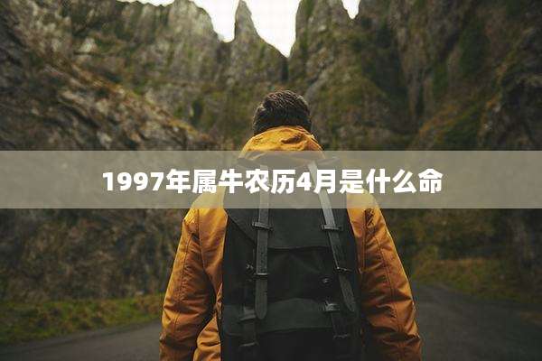 1997年属牛农历4月是什么命