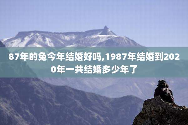 87年的兔今年结婚好吗,1987年结婚到2020年一共结婚多少年了