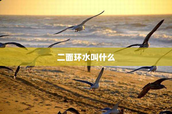 二面环水叫什么