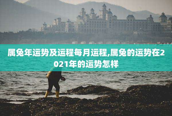 属兔年运势及运程每月运程,属兔的运势在2021年的运势怎样